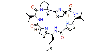 Mayotamide B